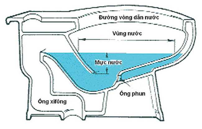 Tại sao luôn có một vùng nước đọng ở trong bồn cầu? 